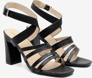 Celena Strap Sandals 'Cattaleya' in Black