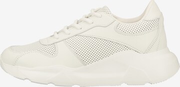 Sneaker bassa di Steven New York in bianco