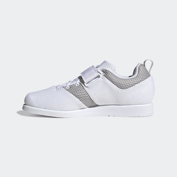 Chaussure de sport 'Powerlift 5' ADIDAS PERFORMANCE en blanc