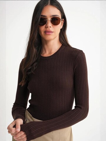 MixRay Sweater in Brown: front