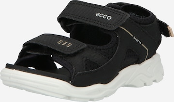 Sandalo di ECCO in nero: frontale
