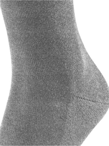 FALKE Socks 'Family' in Grey