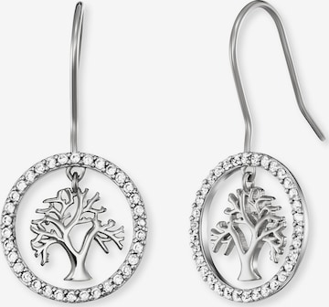 Engelsrufer Earrings in Silver: front