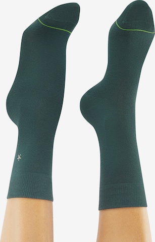 CHEERIO* Socks 'Winter Wonder World' in Green: front