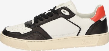 SIOUX Sneakers laag 'Tedroso-DA-700' in Zwart