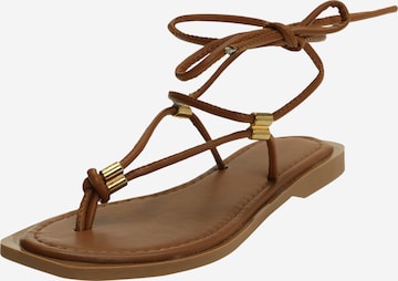 Trendyol Flip-Flops i brun: forside