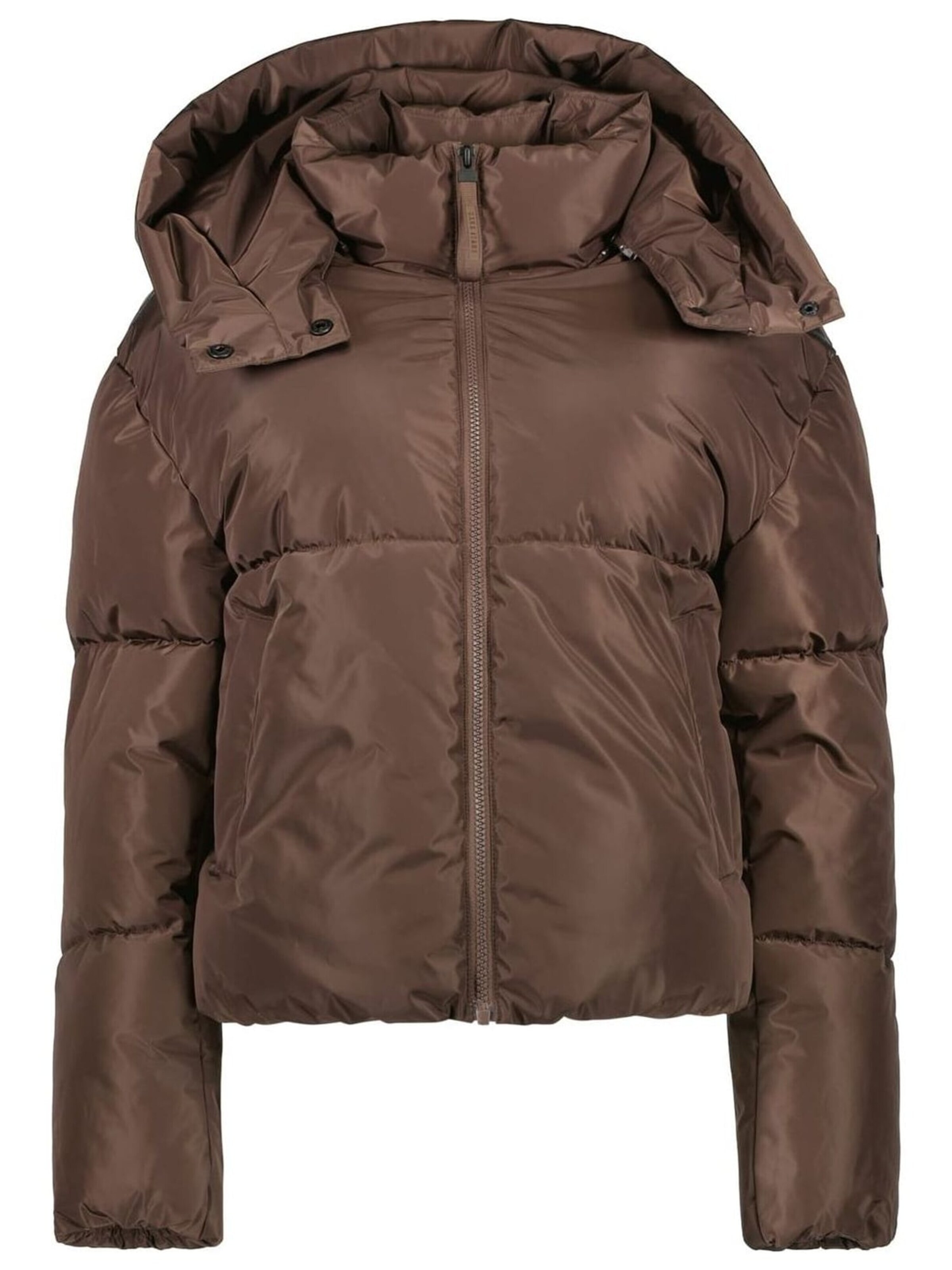CARS Winter jacket in Brown: front
