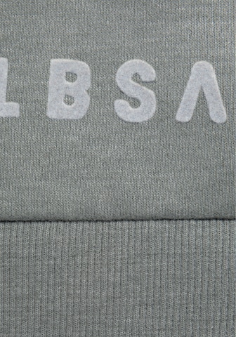 Elbsand Sweatshirt in Grün