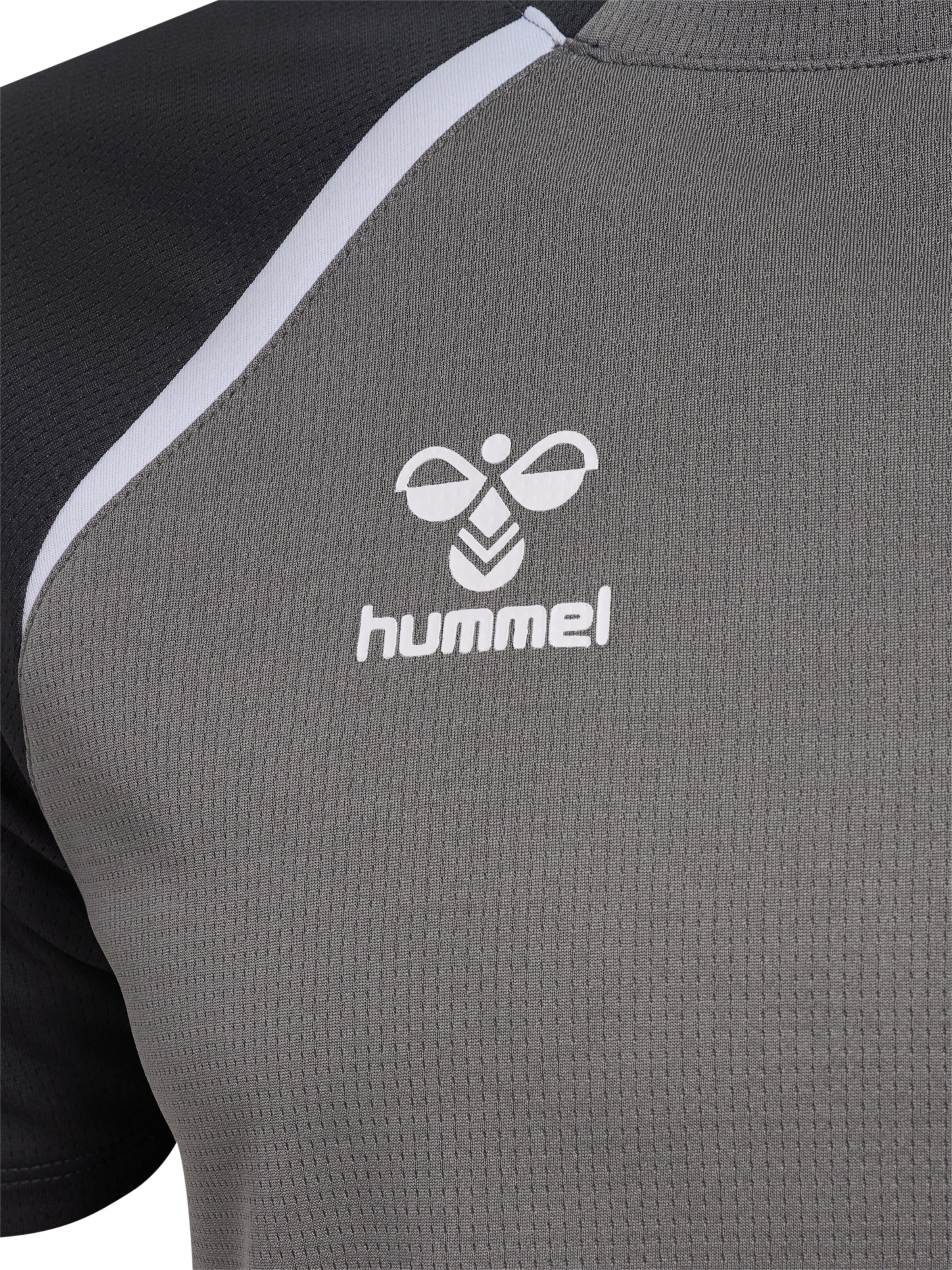 Hummel Funktionsskjorte 'Lead 2.0' i grå