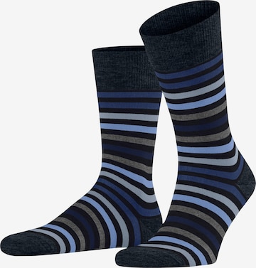 FALKE Socken 'Tinted Stripe' in Blau: Vorderseite