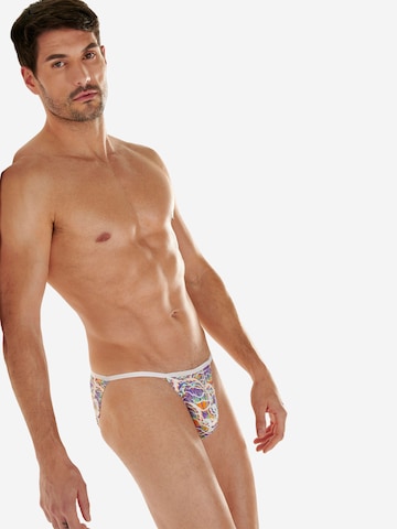 Slip ' Funky Styles ' HOM en violet : devant
