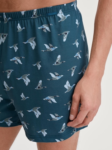 CALIDA Boxer shorts in Blue