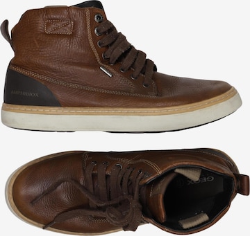 GEOX Stiefel 43 in Braun: Vorderseite