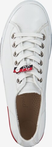 Paul Green Sneakers in White