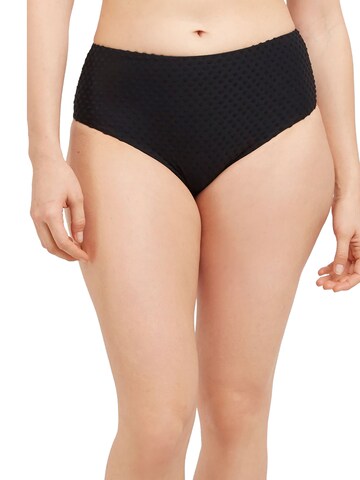 Gisela Bikini bottom in Black: front