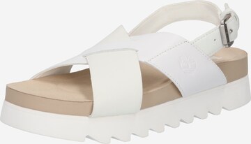 TIMBERLAND Sandals 'Santa Monica Sunrise' in White: front