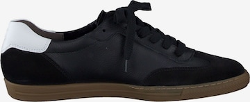 Sneaker bassa di Paul Green in nero