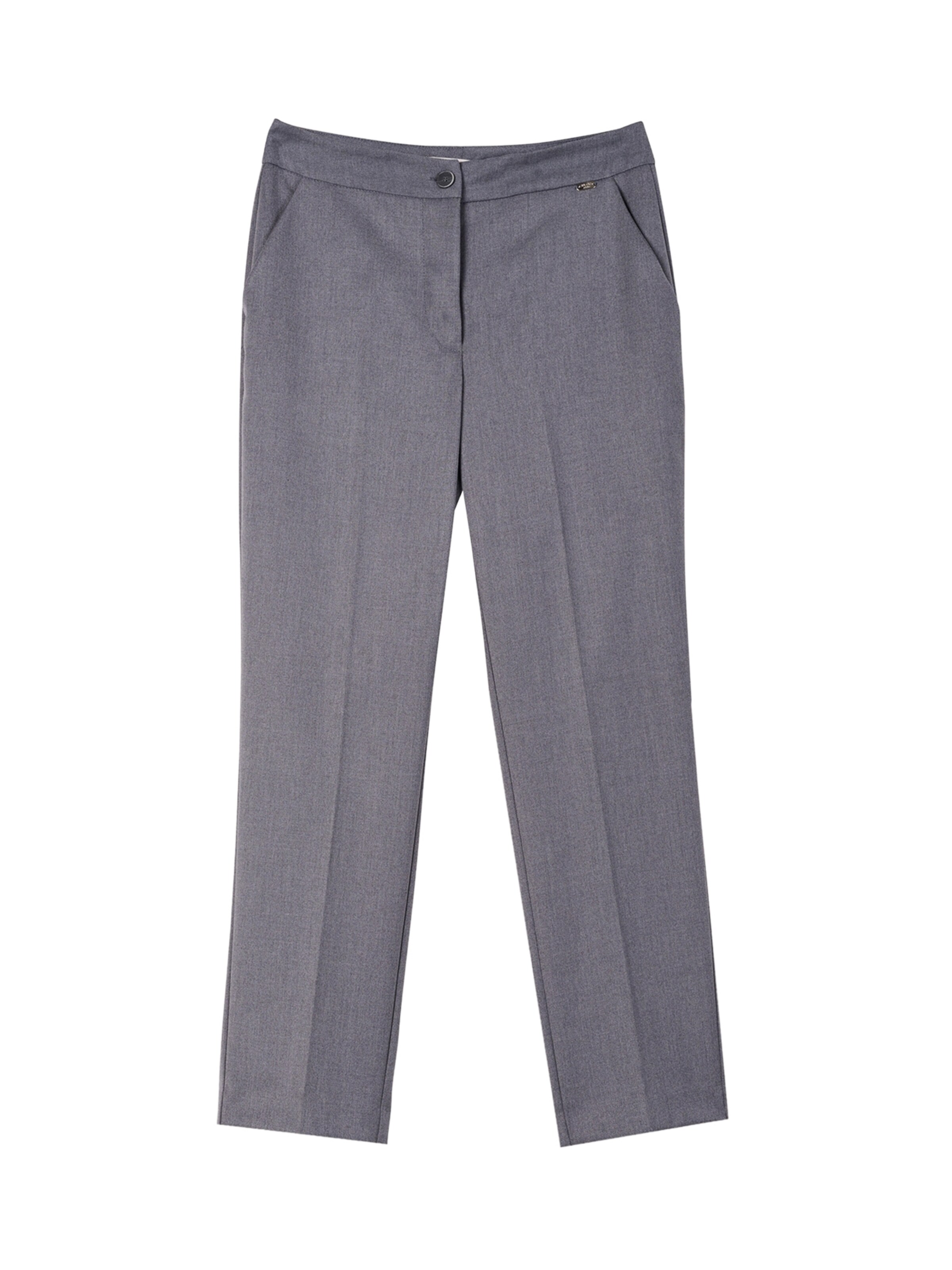 regular Pantaloni con pieghe 'Alicee' di Camomilla Italia in grigio: frontale