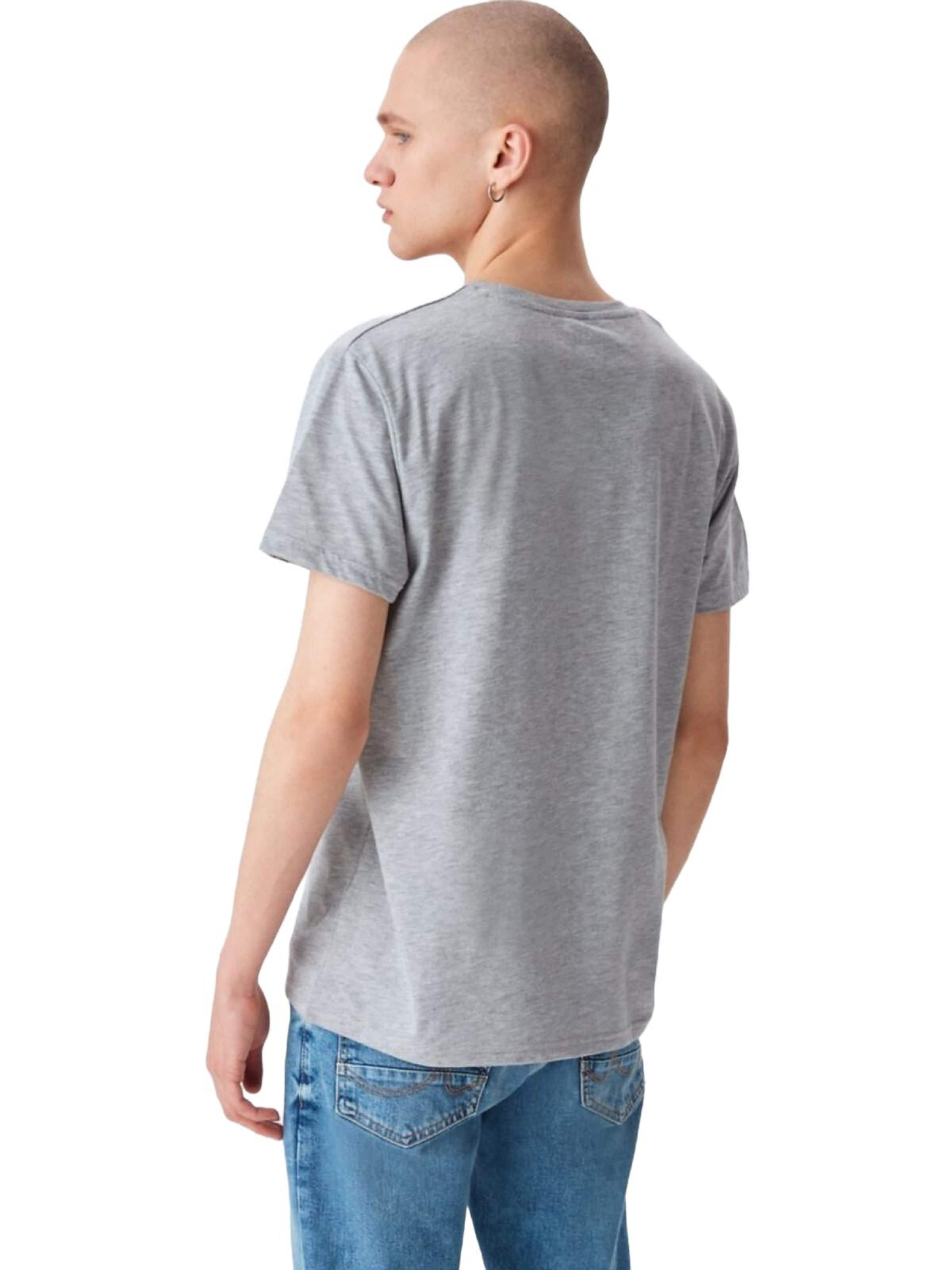 LTB Jeans Shirt 'LTB Jeans Herren-T-Shirt mit Logo-Print'‌‌‌‌‌‌‌ in Grau
