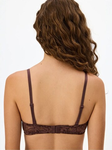 Penti Push-up Nedrček 'BHs & Bralettes' | rjava barva