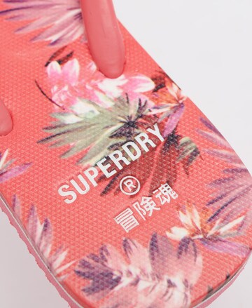 Superdry Teenslipper in Roze