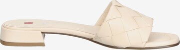 Högl Pantolette in Beige