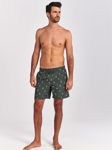 Shiwi Board Shorts in Green