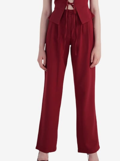 HOLLY LOLLY Pantalon à pince en 40 en bourgogne, Vue avec produit