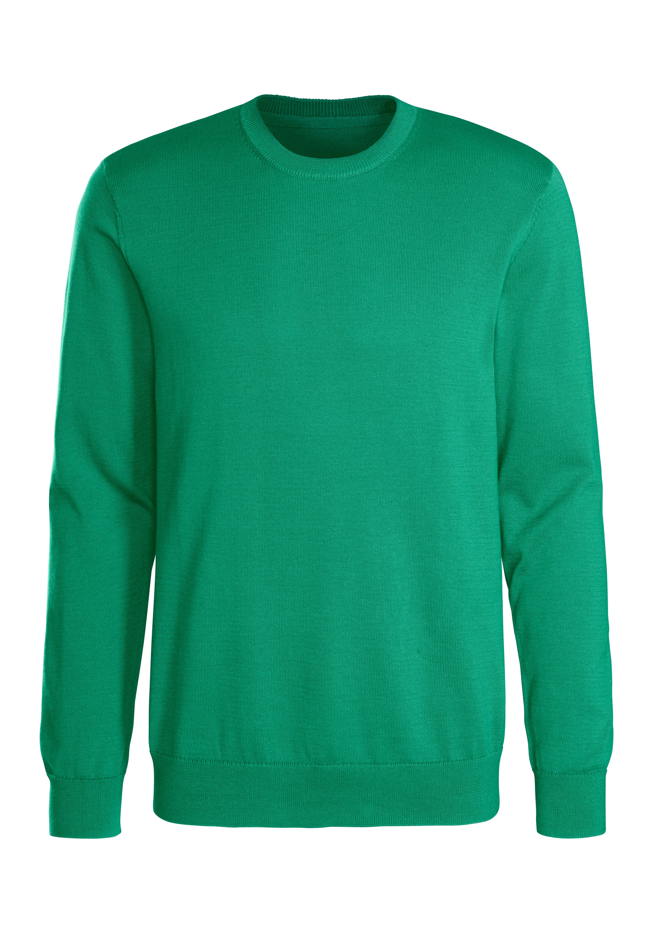 H.I.S Свитер в Зеленый: спереди