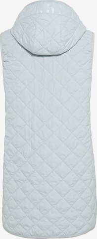 CAMEL ACTIVE Bodywarmer in Blauw