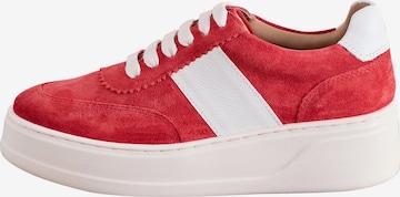 NextNiske tenisice - crvena boja: prednji dio