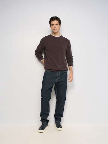 Salsa Jeans Trui in Bruin