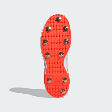 Chaussure de sport 'Adipower Vector 20' ADIDAS PERFORMANCE en blanc