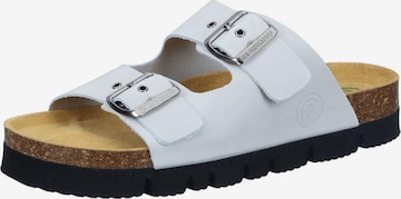 DR. BRINKMANN Mules 'BONILLO' in Grey: front