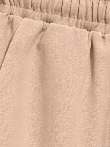 Tapered Pantaloni di MixRay in marrone