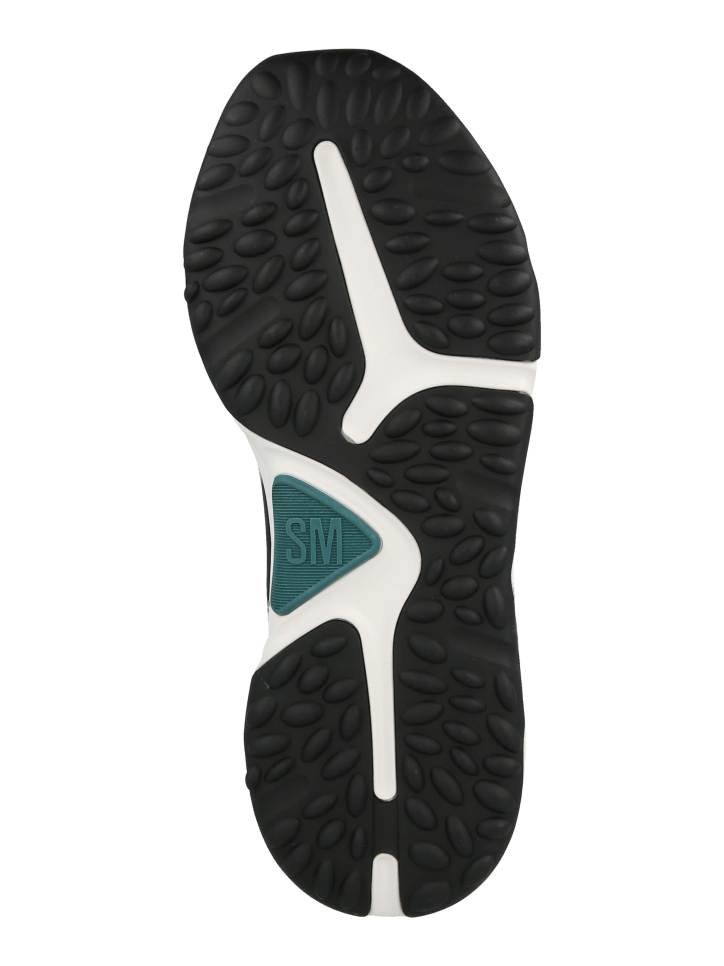 STEVE MADDEN Matalavartiset tennarit 'Serpent' värissä harmaa