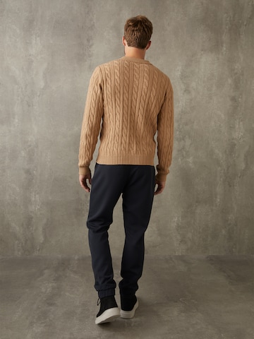 ABOUT YOU x Kevin Trapp Sweater 'Joris' in Brown