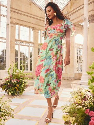 love & roses Dress in Green