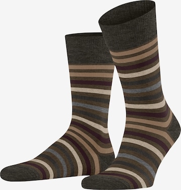 FALKE Socken 'Tinted Stripe' in Grün: Vorderseite