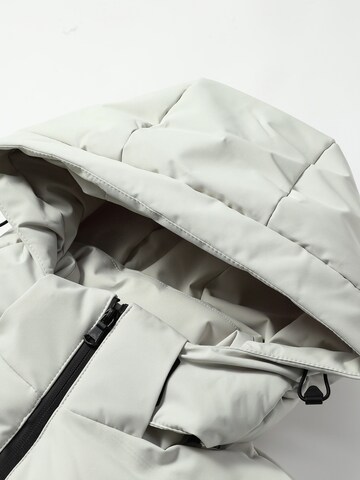 ALLTHEMEN Winter Jacket 'Wärmekammer' in Beige