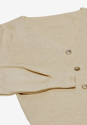 caspio Pullover in Beige