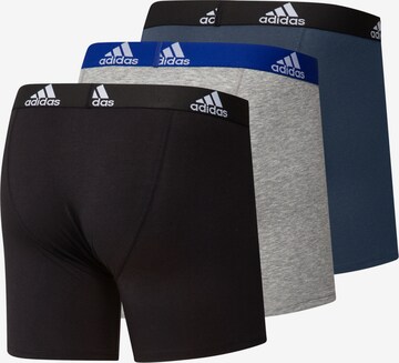 ADIDAS SPORTSWEAR Sports underpants in Blue