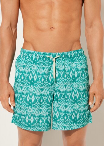 CALZEDONIA Regular Board Shorts in Green: front