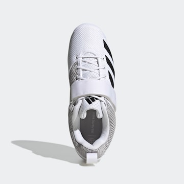 Chaussure de sport 'Powerlift 5' ADIDAS PERFORMANCE en blanc