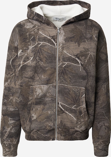 Džemperis iš HOLLISTER, spalva – pilka / šviesiai pilka / rusvai žalia, Prekių apžvalga