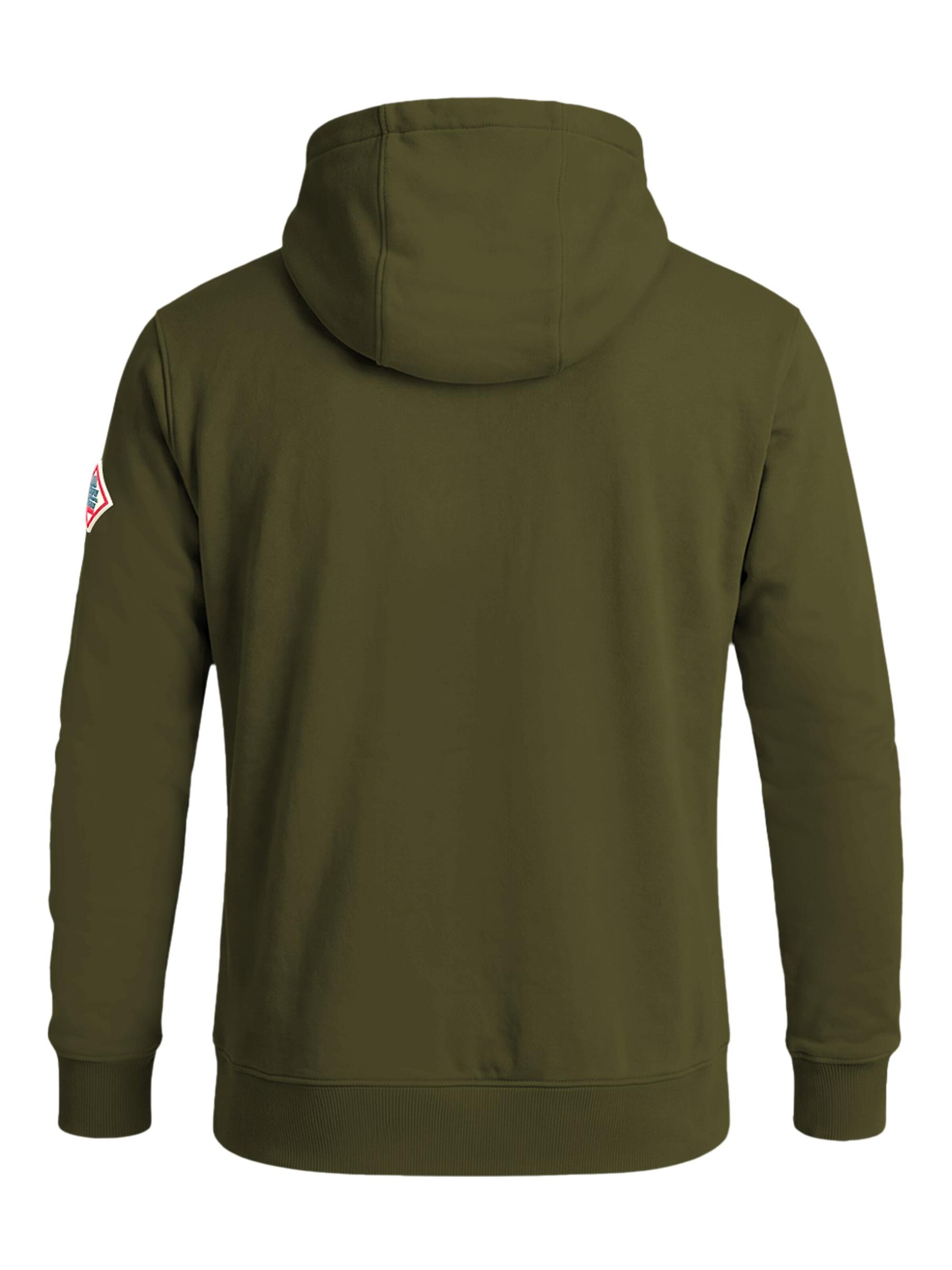 FORSBERG Sweatshirt 'Runarson Hoodie' in Green