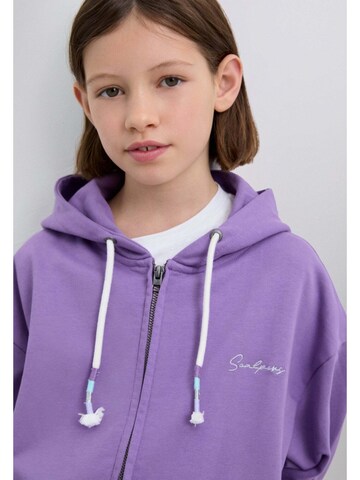 Scalpers Mikina 'Shinnyskull' – fialová