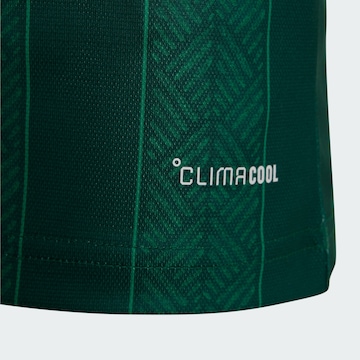 T-Shirt fonctionnel 'Südafrika 26' ADIDAS PERFORMANCE en vert