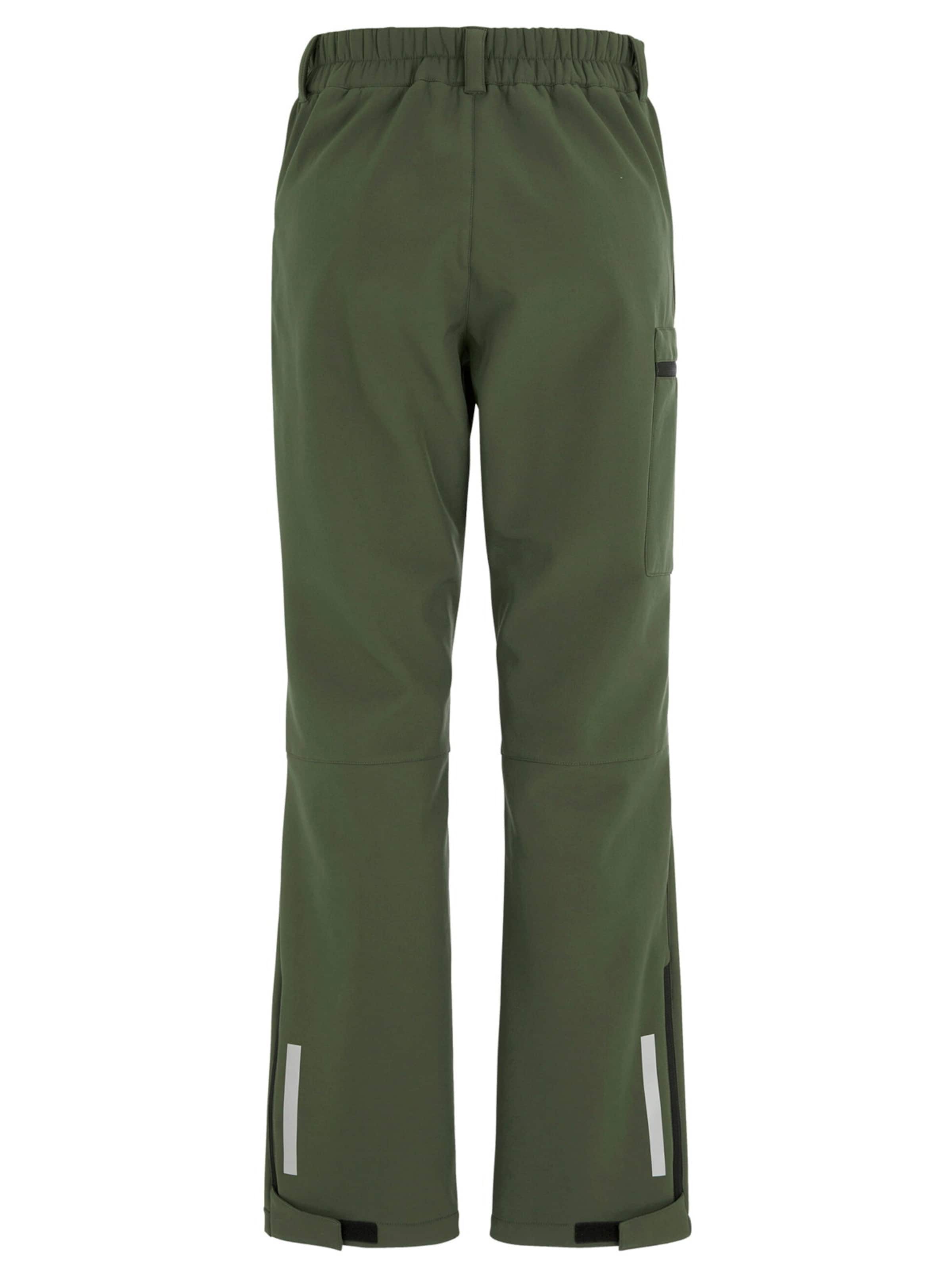 Regular Pantalon fonctionnel Cellbes of Sweden en vert