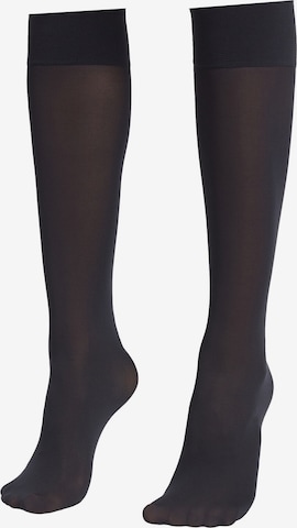 CALZEDONIA Knee High Socks in Blue: front